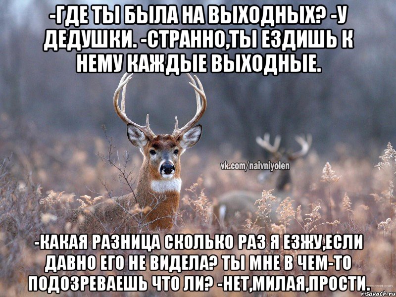 -Где ты была на выходных? -У дедушки. -Странно,ты ездишь к нему каждые выходные. -Какая разница сколько раз я езжу,если давно его не видела? Ты мне в чем-то подозреваешь что ли? -Нет,милая,прости., Мем   Наивный олень