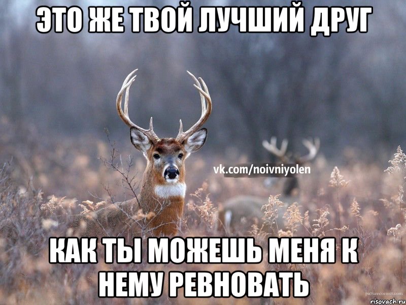 это же твой лучший друг как ты можешь меня к нему ревновать