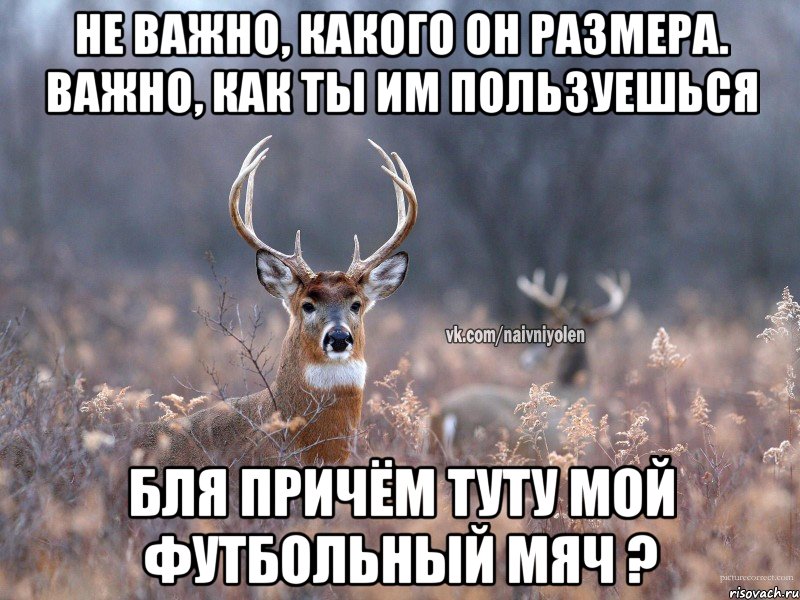 Не важно, какого он размера. Важно, как ты им пользуешься бля причём туту мой футбольный мяч ?, Мем   Наивный олень