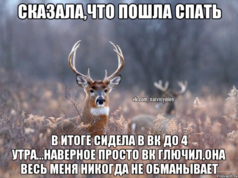 Сказала,что пошла спать В итоге сидела в вк до 4 утра...наверное просто вк глючил,она весь меня никогда не обманывает, Мем   Наивный олень