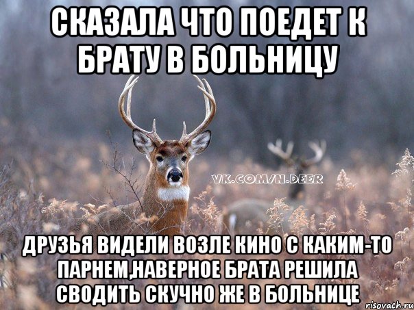 сказала что поедет к брату в больницу друзья видели возле кино с каким-то парнем,наверное брата решила сводить скучно же в больнице, Мем   Наивный олень