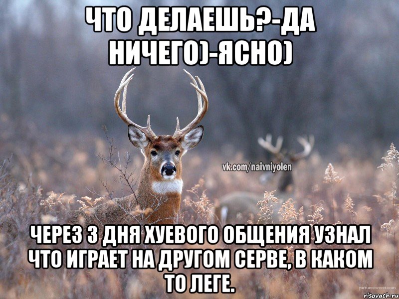 Что делаешь?-да ничего)-ясно) Через 3 дня хуевого общения узнал что играет на другом серве, в каком то леге., Мем   Наивный олень