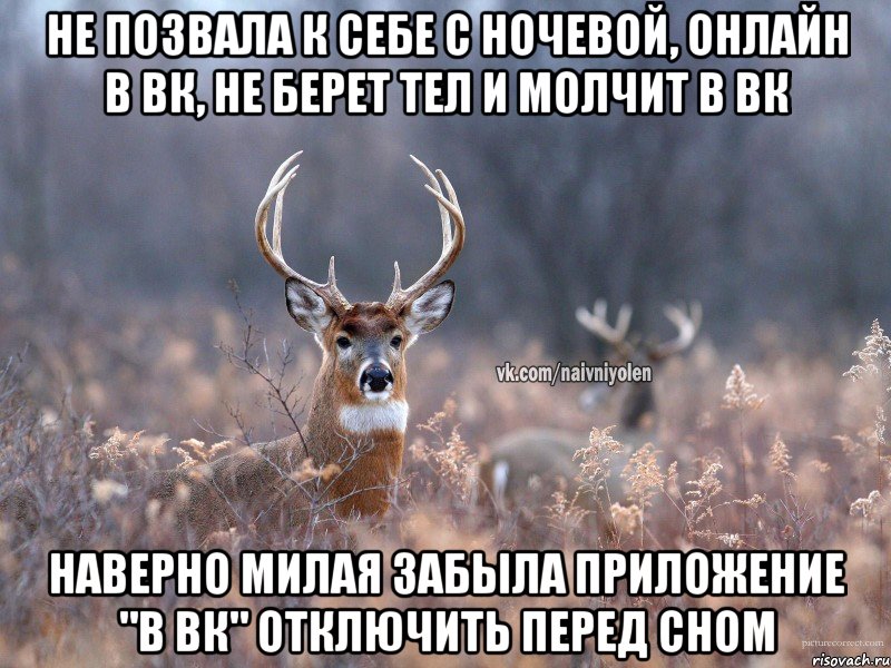 не позвала к себе с ночевой, онлайн в вк, не берет тел и молчит в вк наверно милая забыла приложение "в вк" отключить перед сном, Мем   Наивный олень