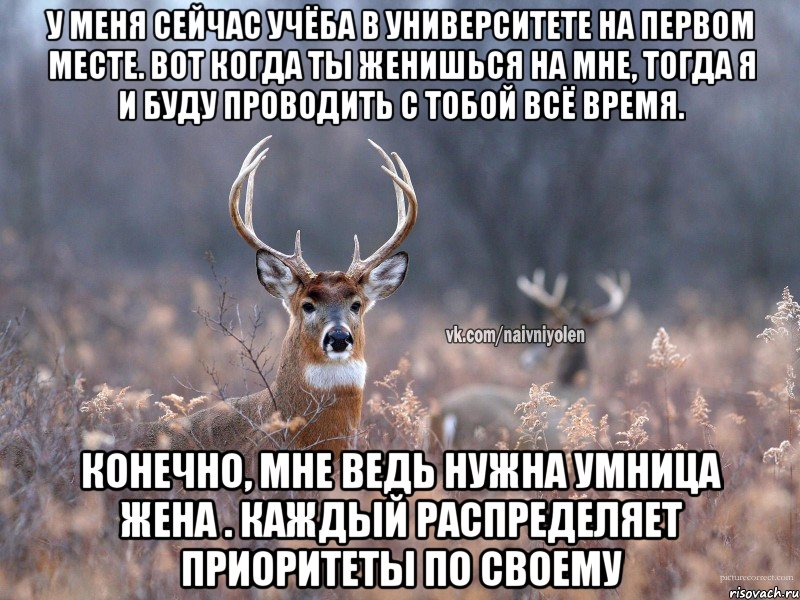 У меня сейчас учёба в университете на первом месте. Вот когда ты женишься на мне, тогда я и буду проводить с тобой всё время. Конечно, мне ведь нужна умница жена . Каждый распределяет приоритеты по своему, Мем   Наивный олень