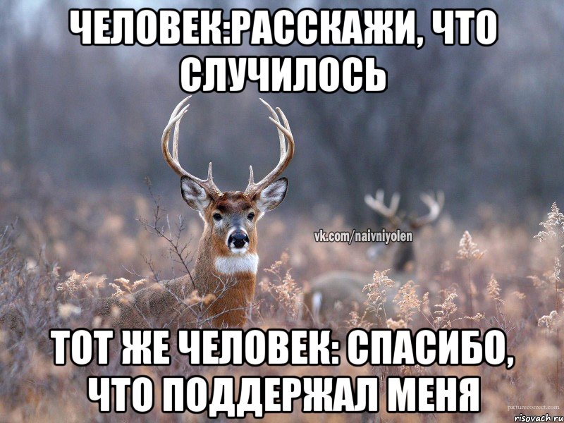 Человек:Расскажи, что случилось Тот же человек: спасибо, что поддержал меня, Мем   Наивный олень