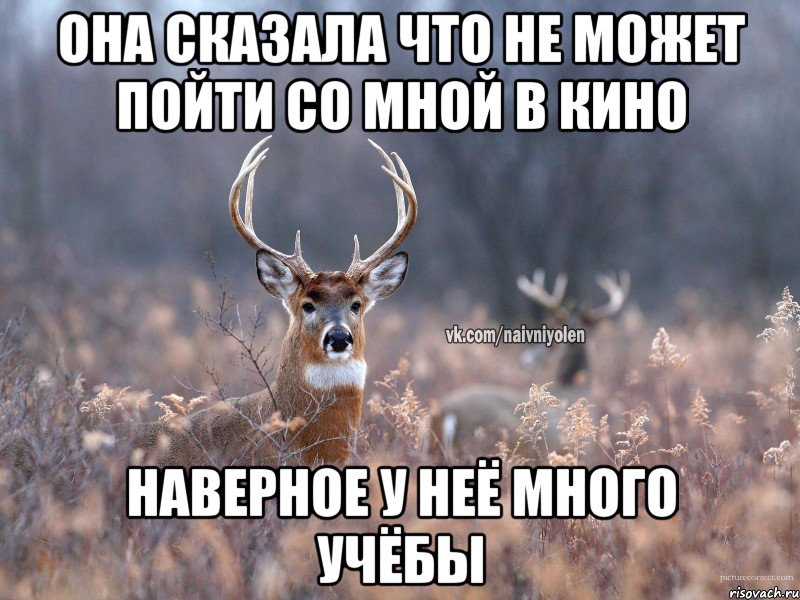 Она сказала что не может пойти со мной в кино наверное у неё много учёбы, Мем   Наивный олень