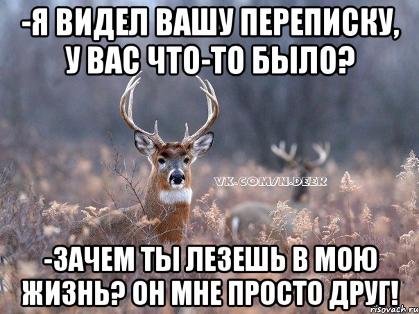 -Я видел вашу переписку, у вас что-то было? -Зачем ты лезешь в мою жизнь? Он мне просто друг!, Мем   Наивный олень