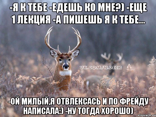 -я к тебе -едешь ко мне?) -еще 1 лекция -а пишешь я к тебе... -ой милый,я отвлексась и по фрейду написала:) -Ну тогда хорошо), Мем   Наивный олень