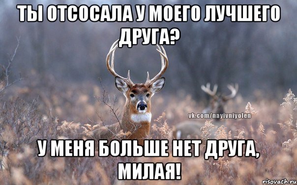 ТЫ ОТСОСАЛА У МОЕГО ЛУЧШЕГО ДРУГА? У МЕНЯ БОЛЬШЕ НЕТ ДРУГА, МИЛАЯ!