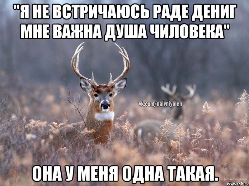 "Я не встричаюсь раде дениг мне важна душа чиловека" Она у меня одна такая., Мем   Наивный олень