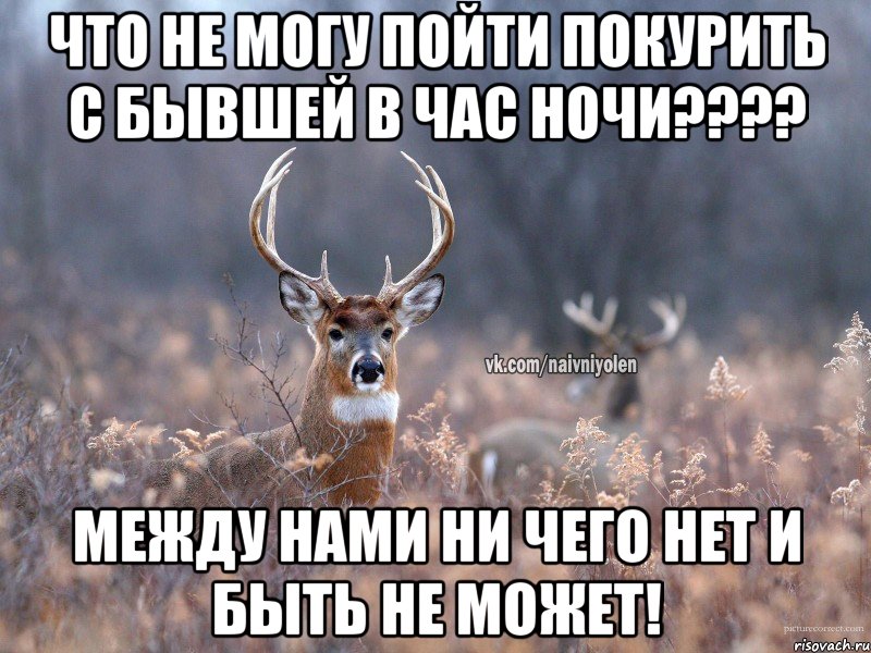 ЧТО НЕ могу пойти покурить с бывшей в час ночи???? между нами ни чего нет и быть не может!, Мем   Наивный олень