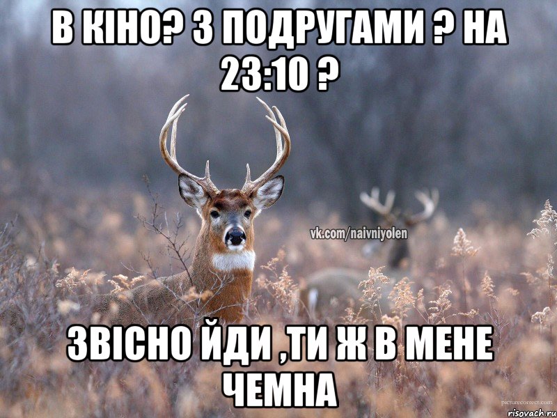 В КІНО? З ПОДРУГАМИ ? НА 23:10 ? ЗВІСНО ЙДИ ,ТИ Ж В МЕНЕ ЧЕМНА, Мем   Наивный олень