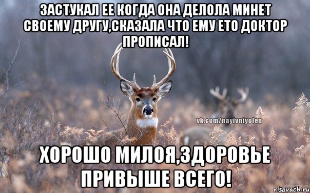 Застукал ее когда она делола минет своему другу,сказала что ему ето доктор прописал! Хорошо милоя,здоровье привыше всего!, Мем   Наивный олень