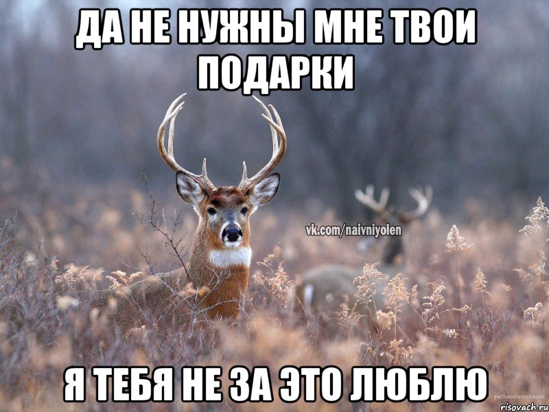 Да не нужны мне твои подарки Я тебя не за это люблю, Мем   Наивный олень