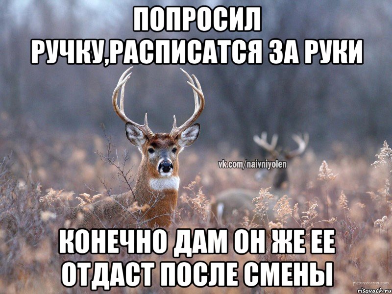 Попросил Ручку,расписатся за руки Конечно дам он же ее отдаст после смены, Мем   Наивный олень