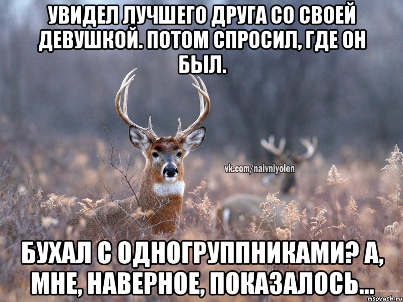 Увидел лучшего друга со своей девушкой. Потом спросил, где он был. Бухал с одногруппниками? А, мне, наверное, показалось..., Мем   Наивный олень