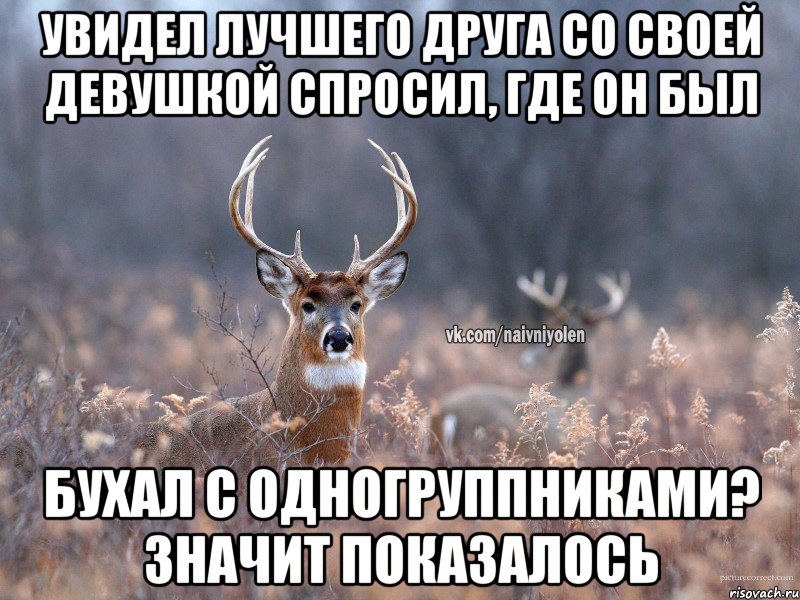 Увидел Лучшего друга со своей девушкой Спросил, где он был Бухал с одногруппниками? Значит показалось, Мем   Наивный олень