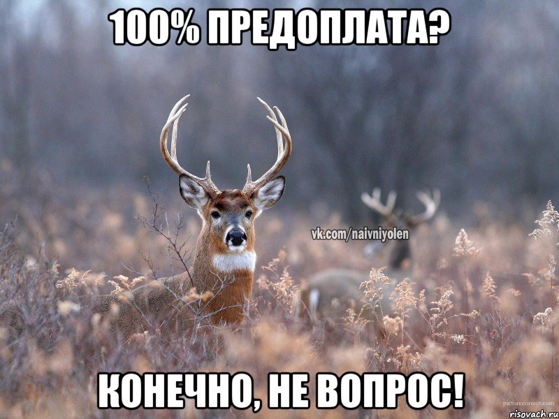 100% Предоплата? Конечно, не вопрос!, Мем   Наивный олень