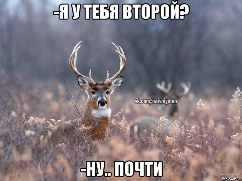 -я у тебя второй? -ну.. почти, Мем   Наивный олень