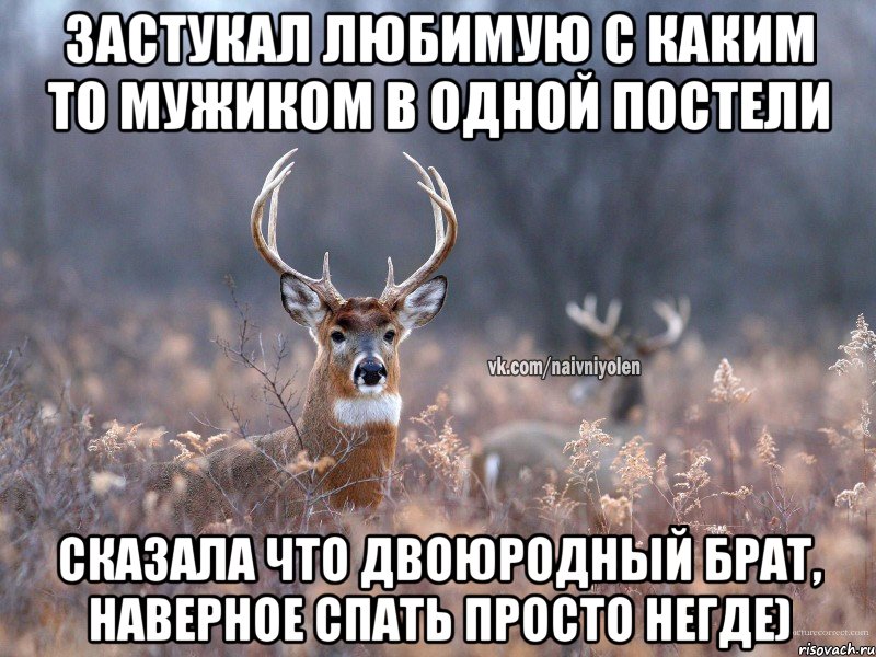 Застукал любимую с каким то мужиком в одной постели Сказала что двоюродный брат, наверное спать просто негде), Мем   Наивный олень