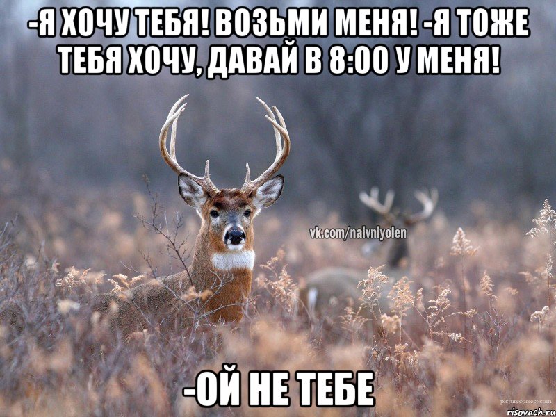 -Я ХОчу тебя! Возьми меня! -Я тоже тебя хочу, давай в 8:00 у меня! -Ой не тебе, Мем   Наивный олень