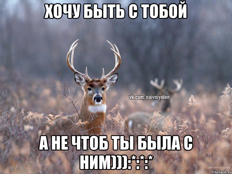 Хочу быть с тобой а не чтоб ты была с ним))):*:*:*, Мем   Наивный олень