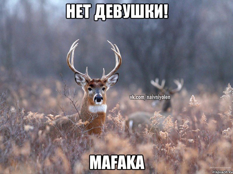 Нет девушки! mafaka