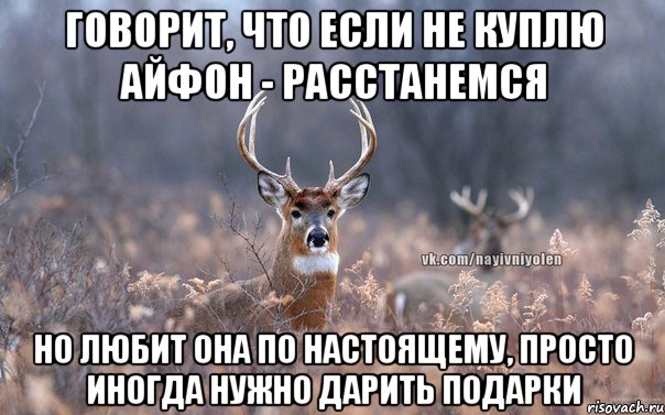 ГОВОРИТ, ЧТО ЕСЛИ НЕ КУПЛЮ АЙФОН - РАССТАНЕМСЯ НО ЛЮБИТ ОНА ПО НАСТОЯЩЕМУ, ПРОСТО ИНОГДА НУЖНО ДАРИТЬ ПОДАРКИ, Мем   Наивный олень