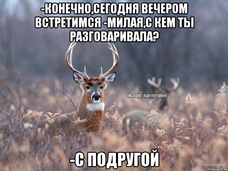 -Конечно,сегодня вечером встретимся -Милая,с кем ты разговаривала? -с Подругой, Мем   Наивный олень