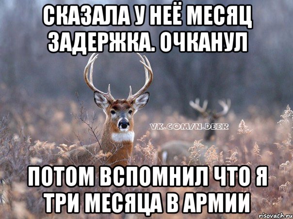 Сказала у неё месяц задержка. Очканул Потом вспомнил что я три месяца в армии