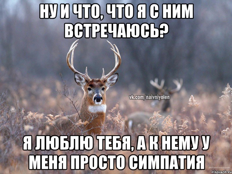 Ну и что, что я с ним встречаюсь? Я люблю тебя, а к нему у меня просто симпатия, Мем   Наивный олень