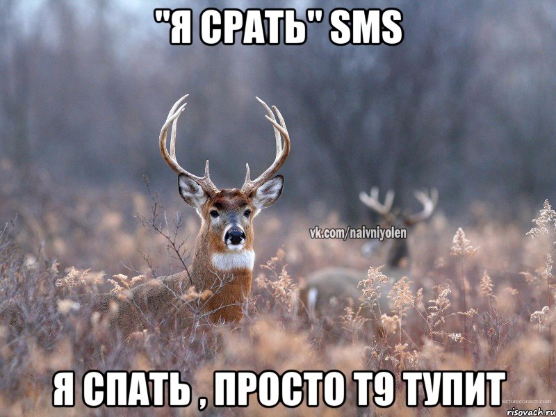 "я срать" SMS я спать , просто т9 тупит, Мем   Наивный олень