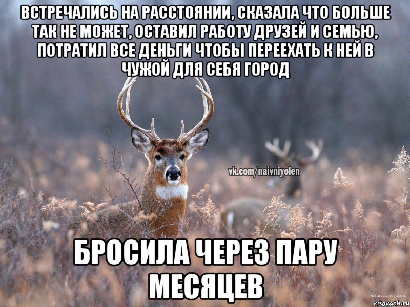 встречались на расстоянии, сказала что больше так не может, оставил работу друзей и семью, потратил все деньги чтобы переехать к ней в чужой для себя город бросила через пару месяцев, Мем   Наивный олень