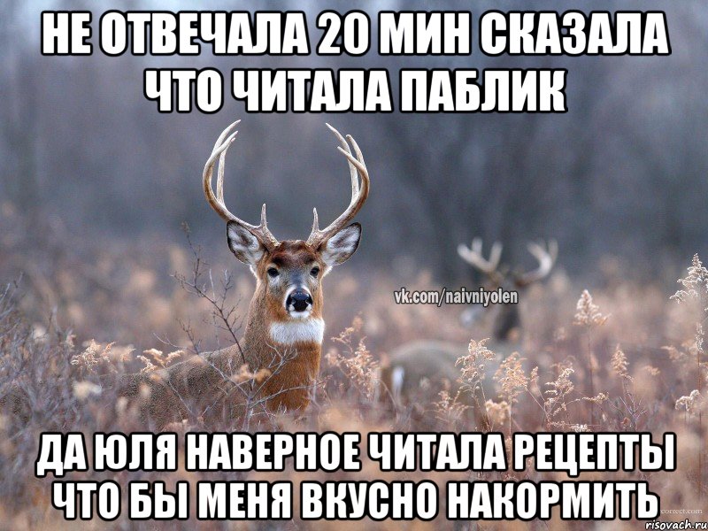 не отвечала 20 мин сказала что читала паблик да юля наверное читала рецепты что бы меня вкусно накормить, Мем   Наивный олень