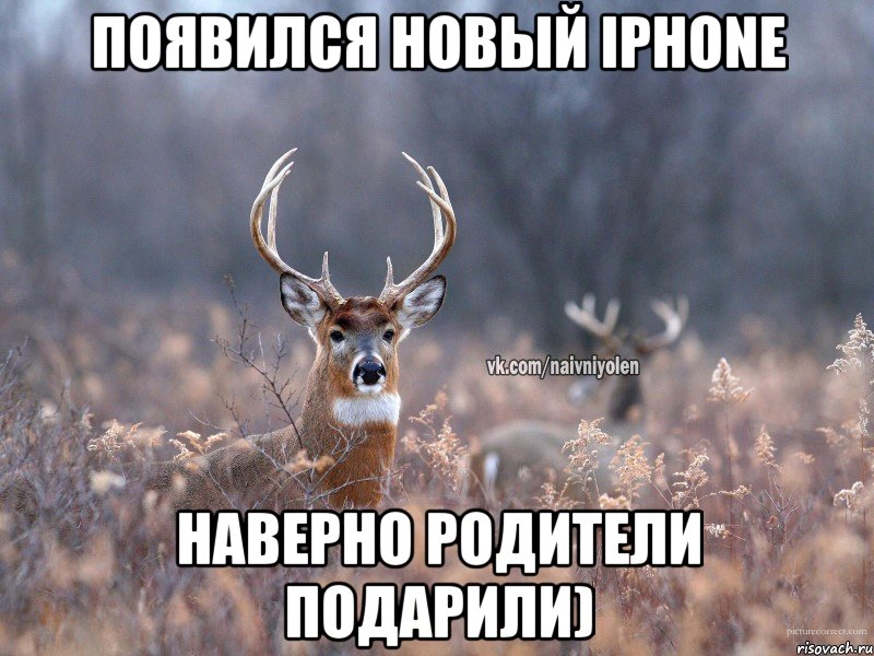 Появился новый iPhone Наверно родители подарили), Мем   Наивный олень