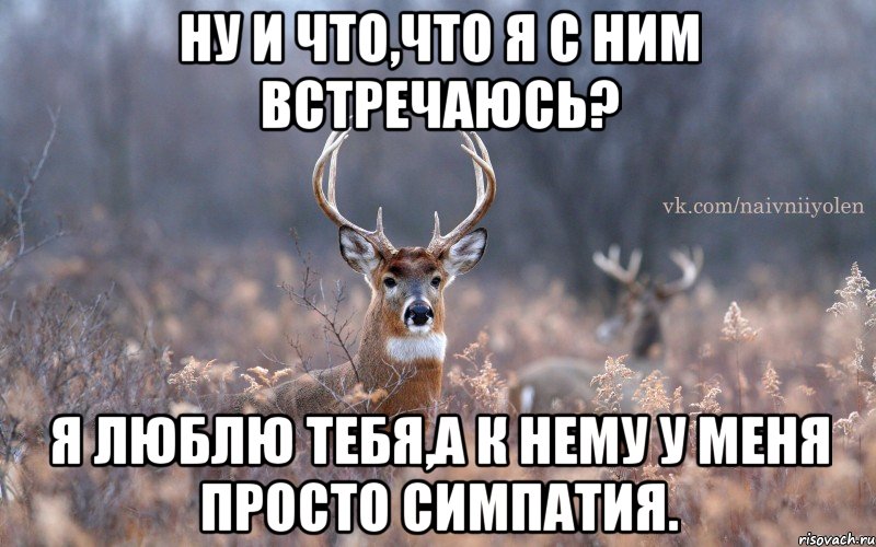 ну и что,что я с ним встречаюсь? я люблю тебя,а к нему у меня просто симпатия., Мем   Наивный олень