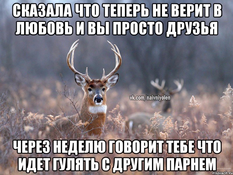 сказала что теперь не верит в любовь и вы просто друзья через неделю говорит тебе что идет гулять с другим парнем, Мем   Наивный олень