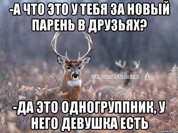 -А что это у тебя за новый парень в друзьях? -Да это одногруппник, у него девушка есть, Мем   Наивный олень