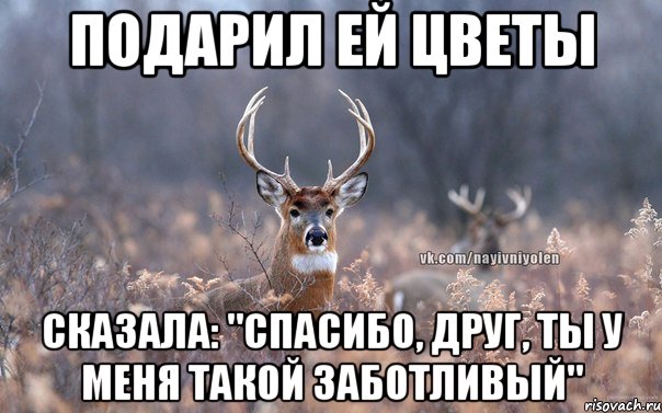 Подарил ей цветы Сказала: "Спасибо, друг, ты у меня такой заботливый", Мем   Наивный олень