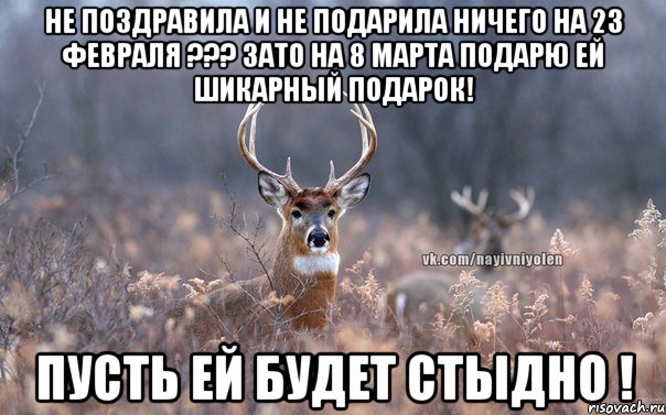 Не поздравила и не подарила ничего на 23 февраля ??? Зато на 8 марта подарю ей шикарный подарок! Пусть ей будет стыдно !, Мем   Наивный олень