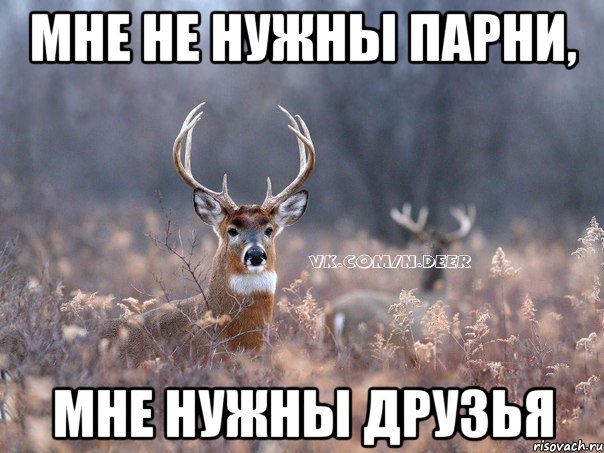 МНЕ НЕ НУЖНЫ ПАРНИ, МНЕ НУЖНЫ ДРУЗЬЯ, Мем   Наивный олень