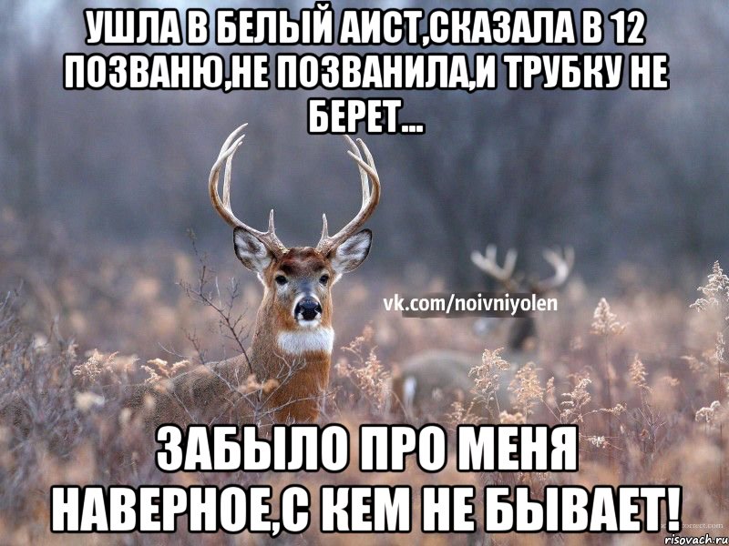 Ушла в Белый аист,сказала в 12 позваню,не позванила,и трубку не берет... Забыло про меня наверное,с кем не бывает!, Мем Наивный Олень vk