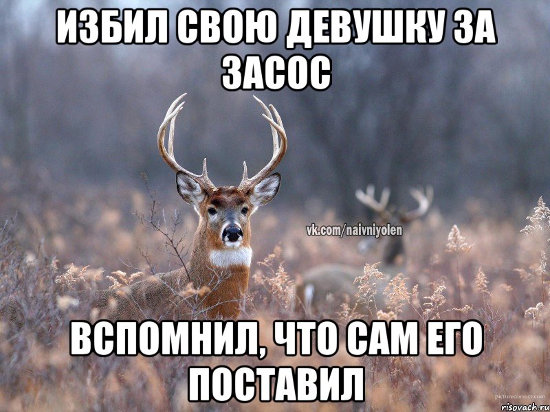 Избил свою девушку за засос Вспомнил, что сам его поставил, Мем   Наивный олень