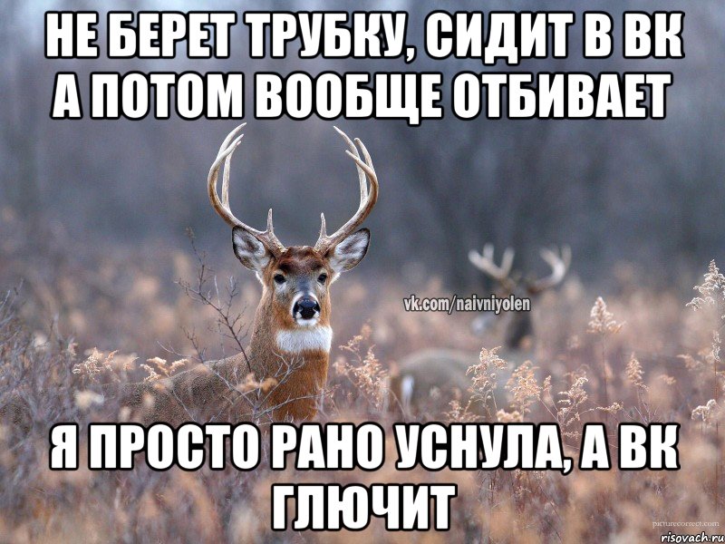 не берет трубку, сидит в вк а потом вообще отбивает я просто рано уснула, а вк глючит, Мем   Наивный олень