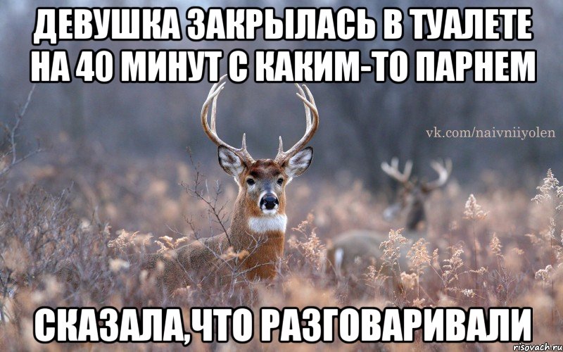 Девушка закрылась в туалете на 40 минут с каким-то парнем сказала,что разговаривали, Мем   Наивный олень