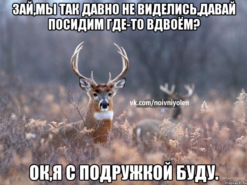 Зай,мы так давно не виделись,давай посидим где-то вдвоём? Ок,я с подружкой буду.