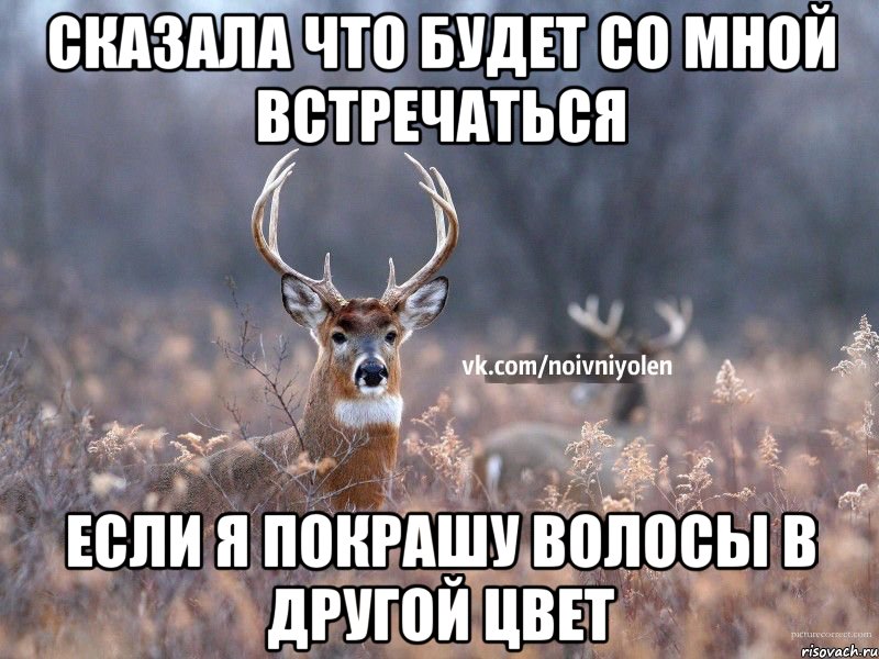 Сказала что будет со мной встречаться если я покрашу волосы в другой цвет