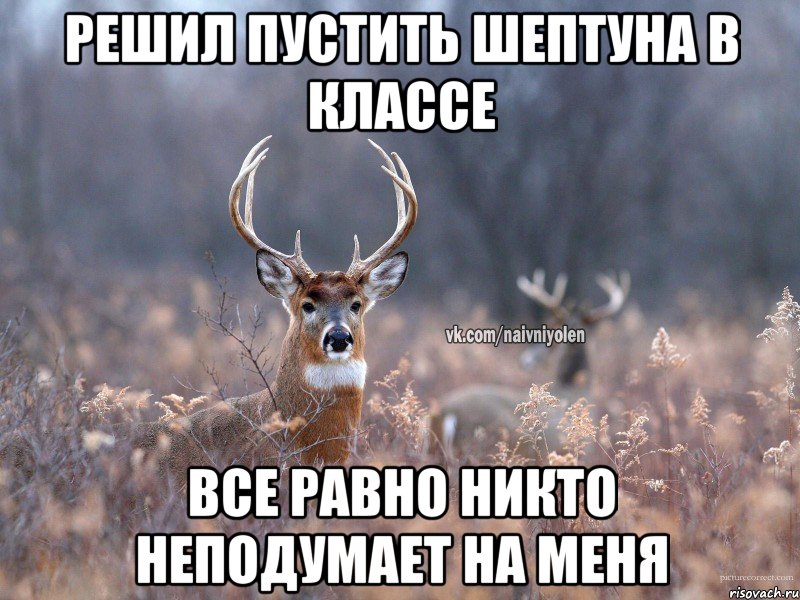 Решил пустить шептуна в классе все равно никто неподумает на меня, Мем   Наивный олень