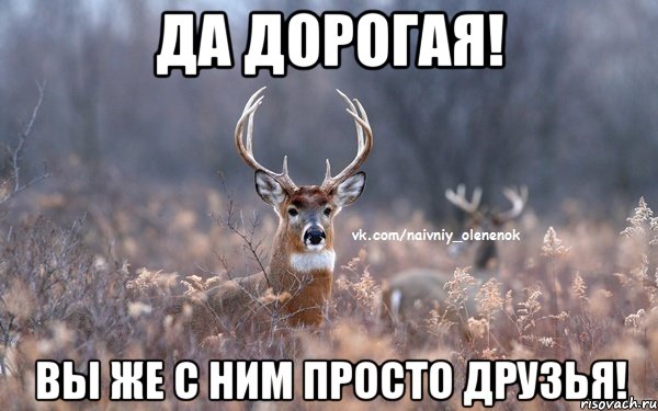 да дорогая! вы же с ним просто друзья!, Мем  Наивный Олененок