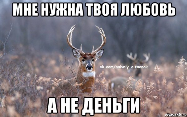 мне нужна твоя любовь а не деньги